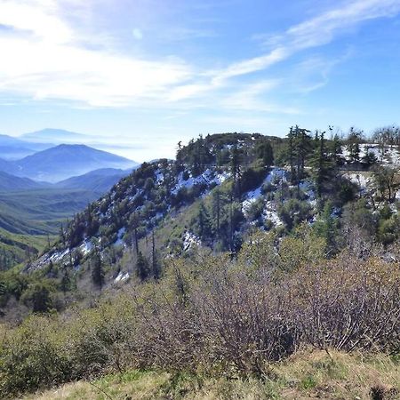 Romantic Tiny Cabin- With Lake View! Villa Lake Arrowhead Eksteriør bilde